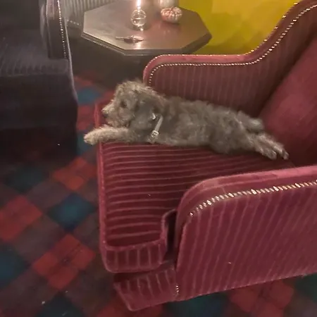 The Red Admiral Gosforth Ca20 1bp