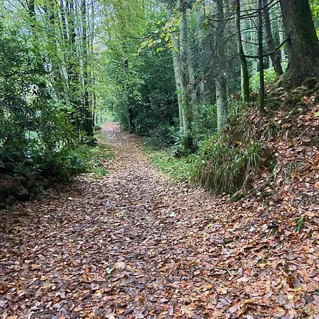 The Red Admiral Gosforth Ca20 1bp Seascale