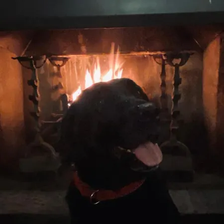 호텔 The Red Admiral Gosforth Ca20 1bp 시스케일